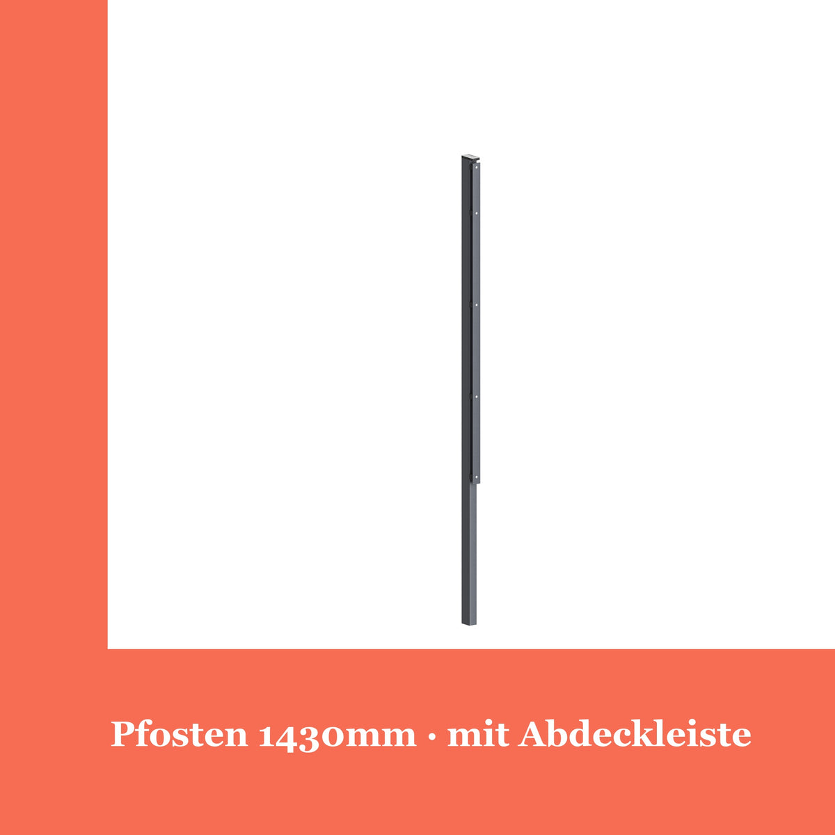 Zaunpfosten 60x40mm