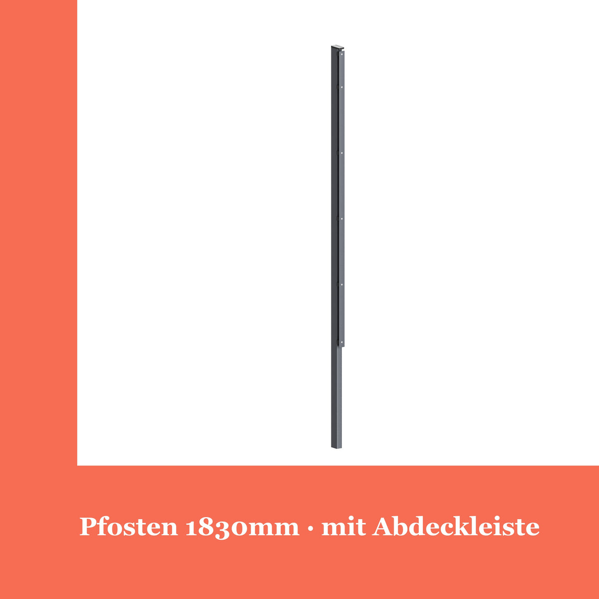 Zaunpfosten 60x40mm