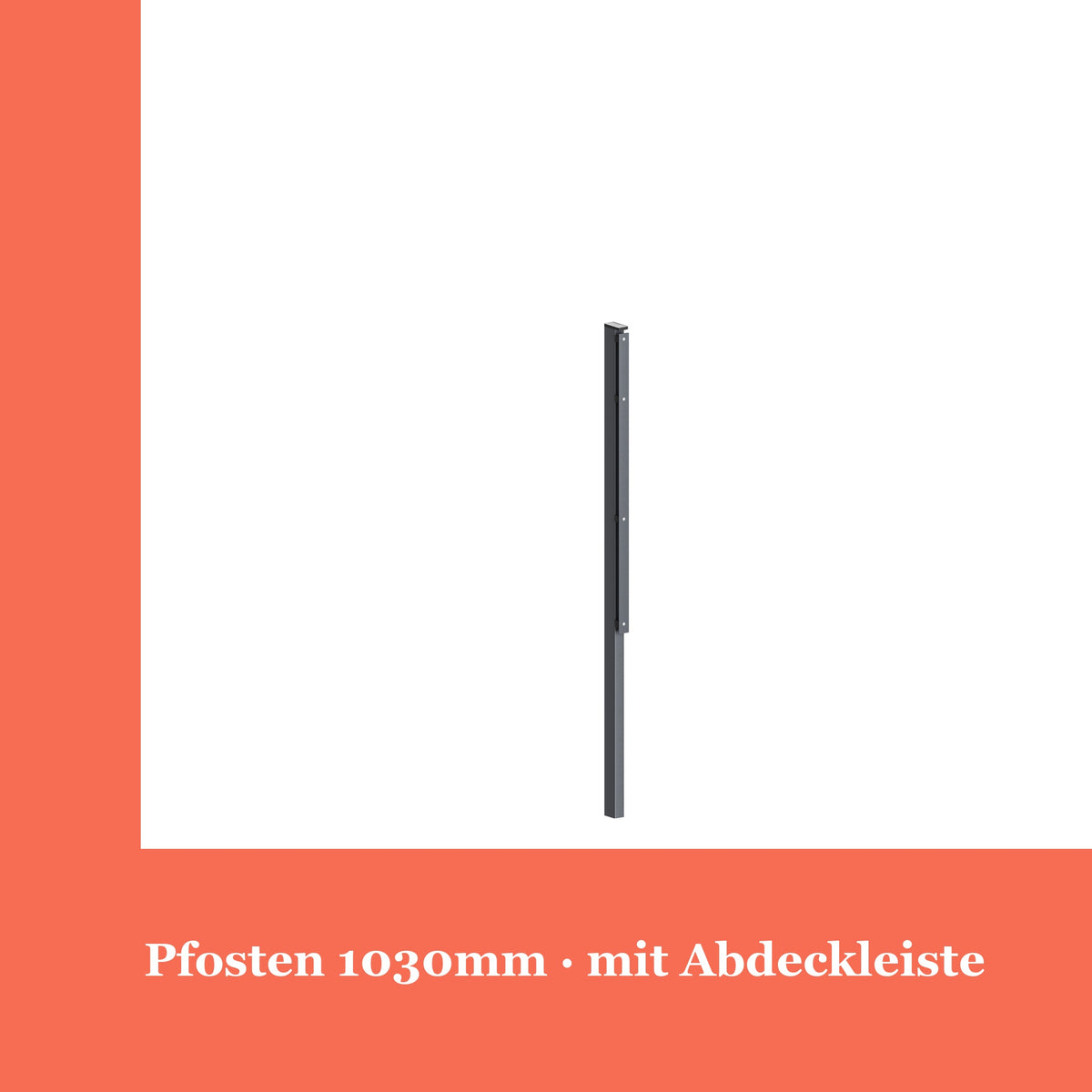 Zaunpfosten 60x40mm