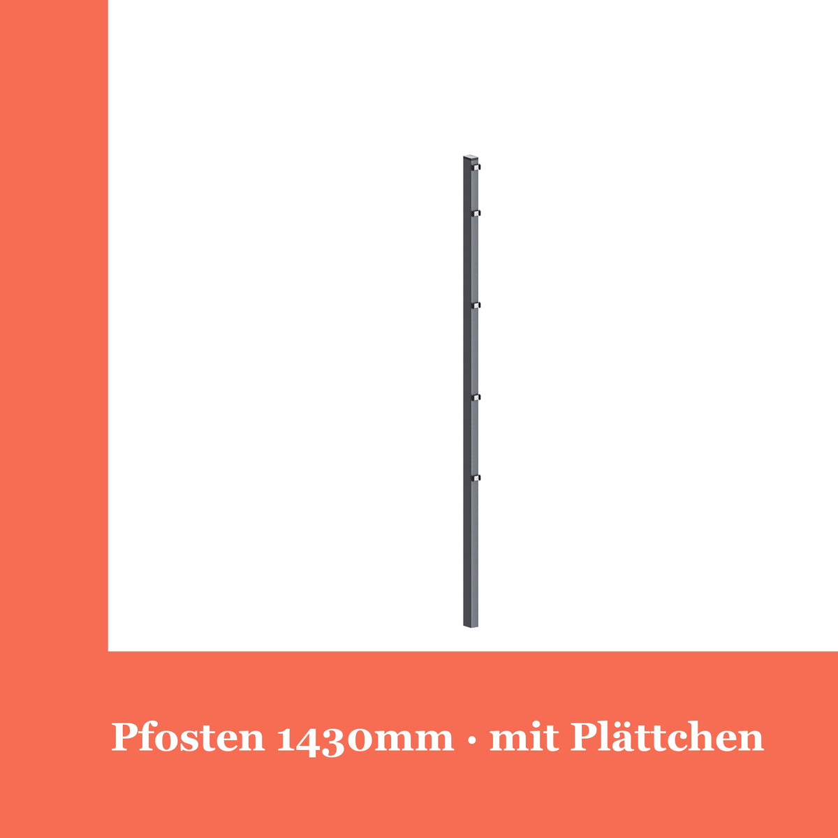Zaunpfosten 60x40mm