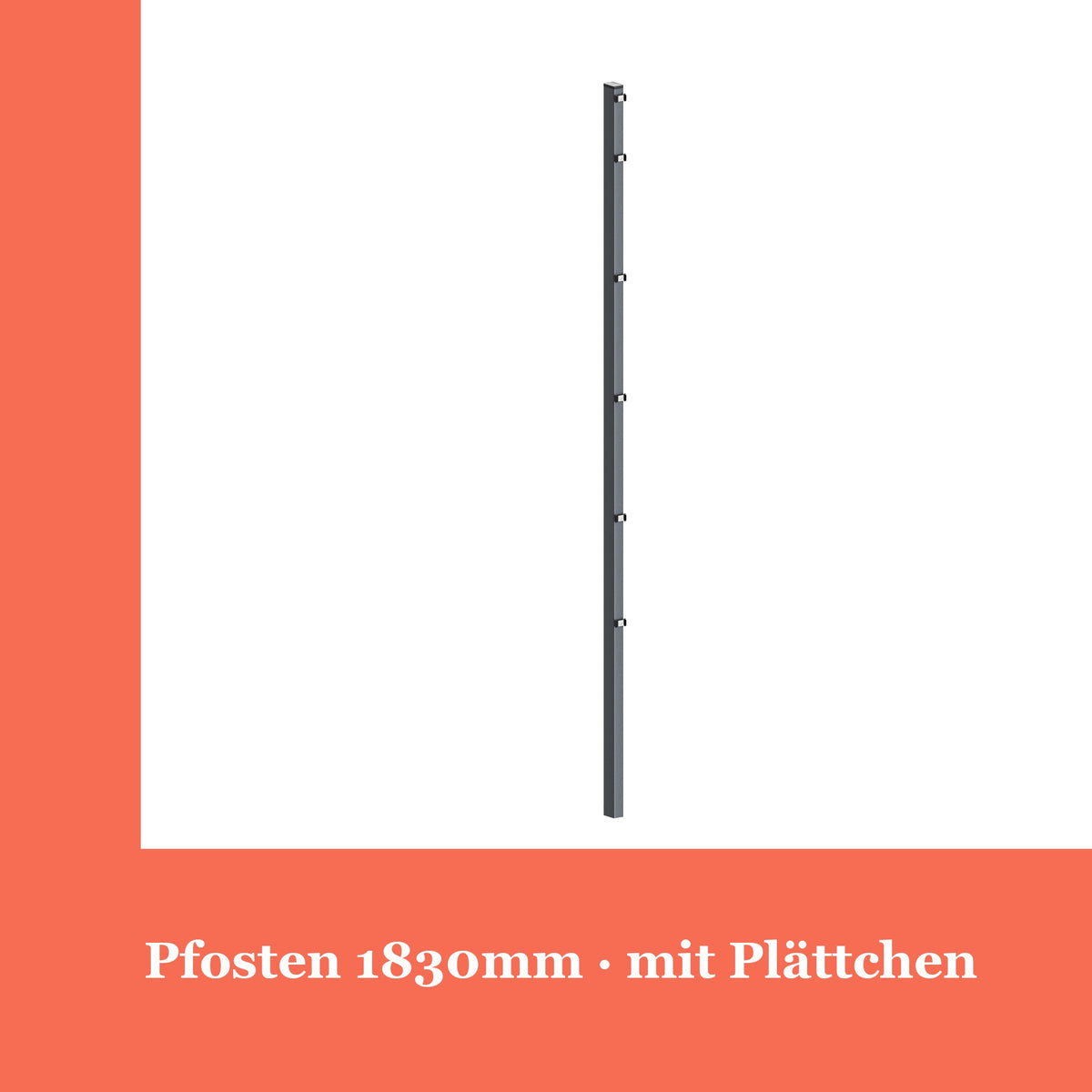 Zaunpfosten 60x40mm