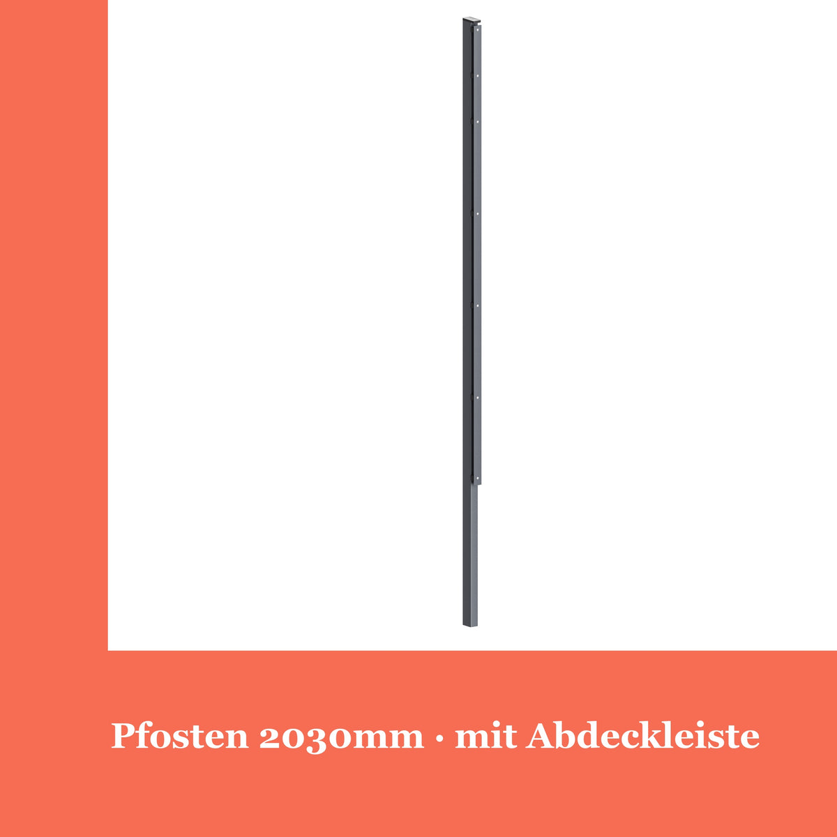 Zaunpfosten 60x40mm