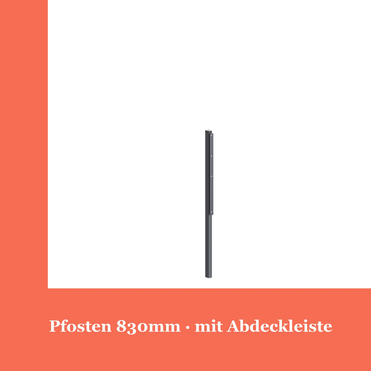 Zaunpfosten 60x40mm