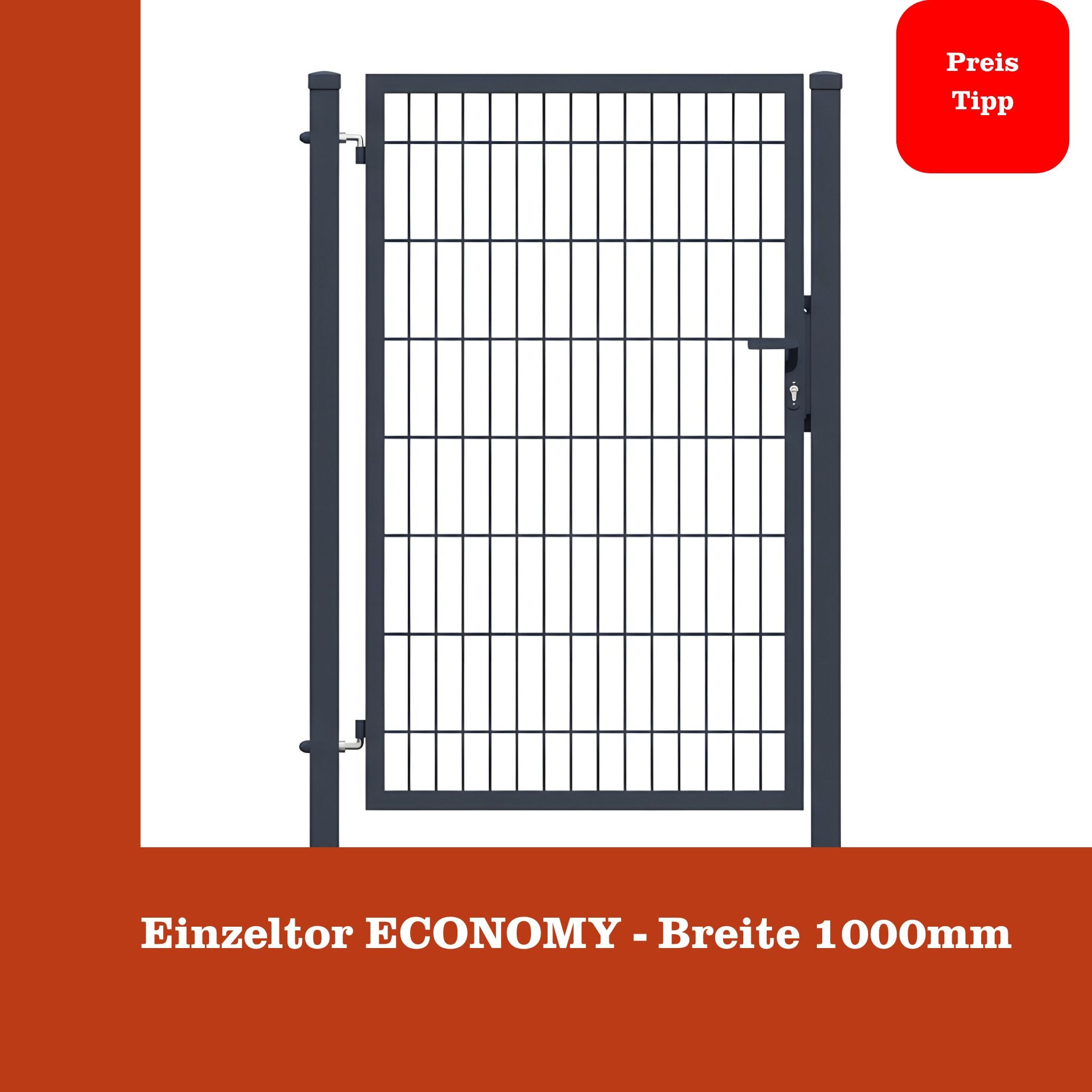 Einzeltor Economy - Breite 1000mm